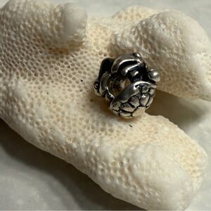 Trollbeads Sterling Silver Turtle Bead